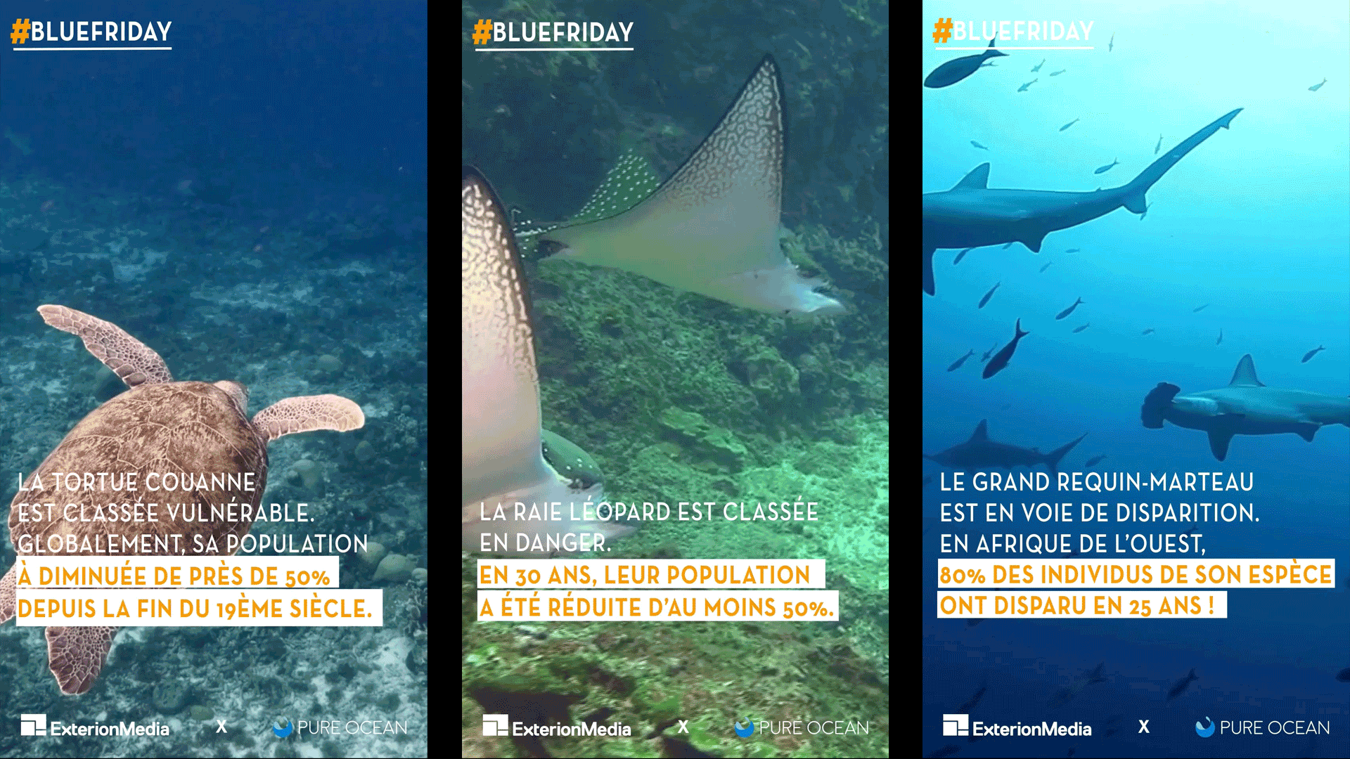 La Fondation Pure Ocean Fund